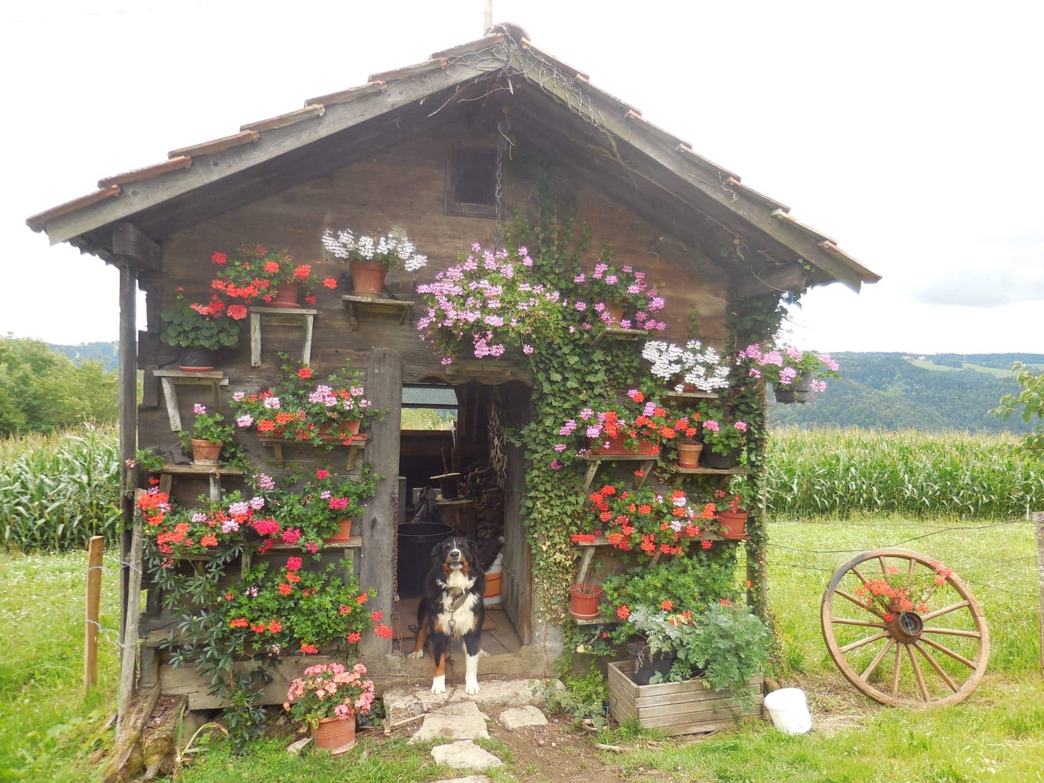 Le grenier fort de Montancy