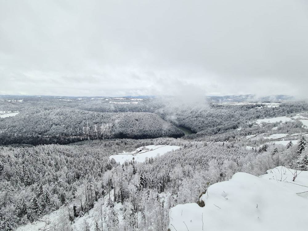 Panorama sur les forêts de résineux Charquemont