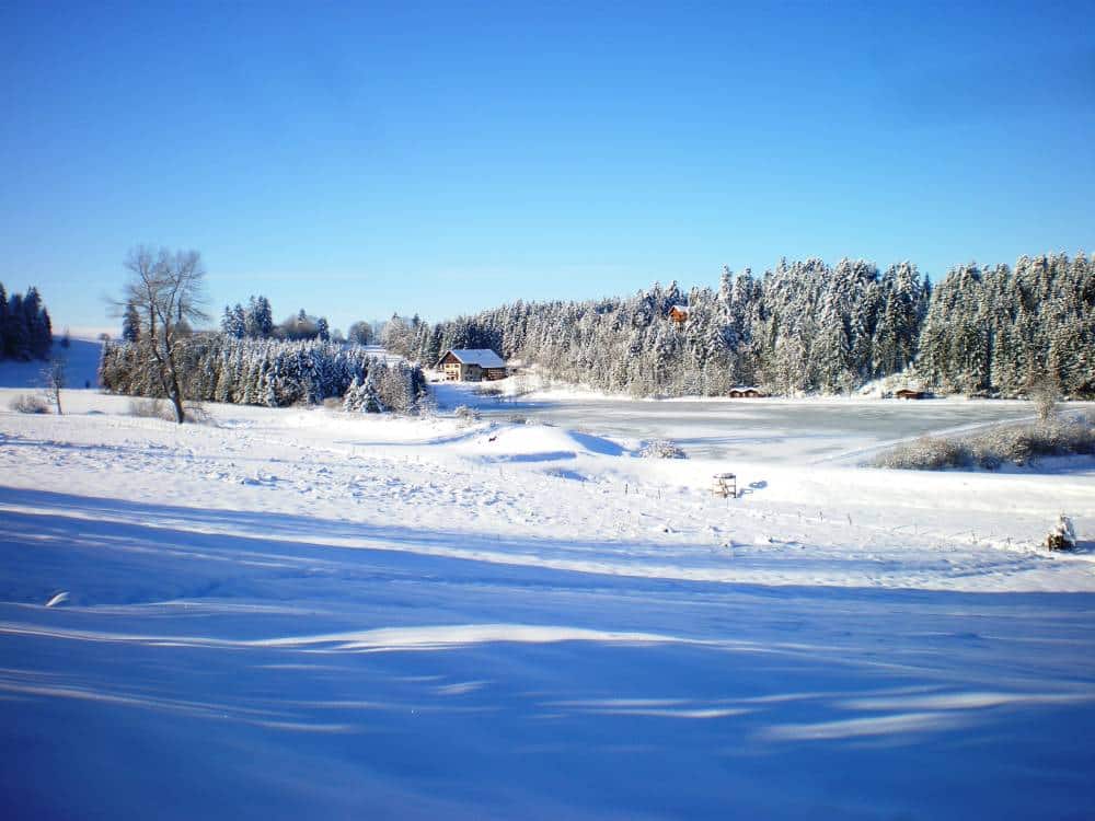 Site de l’Etang du Moulin sous la neige
