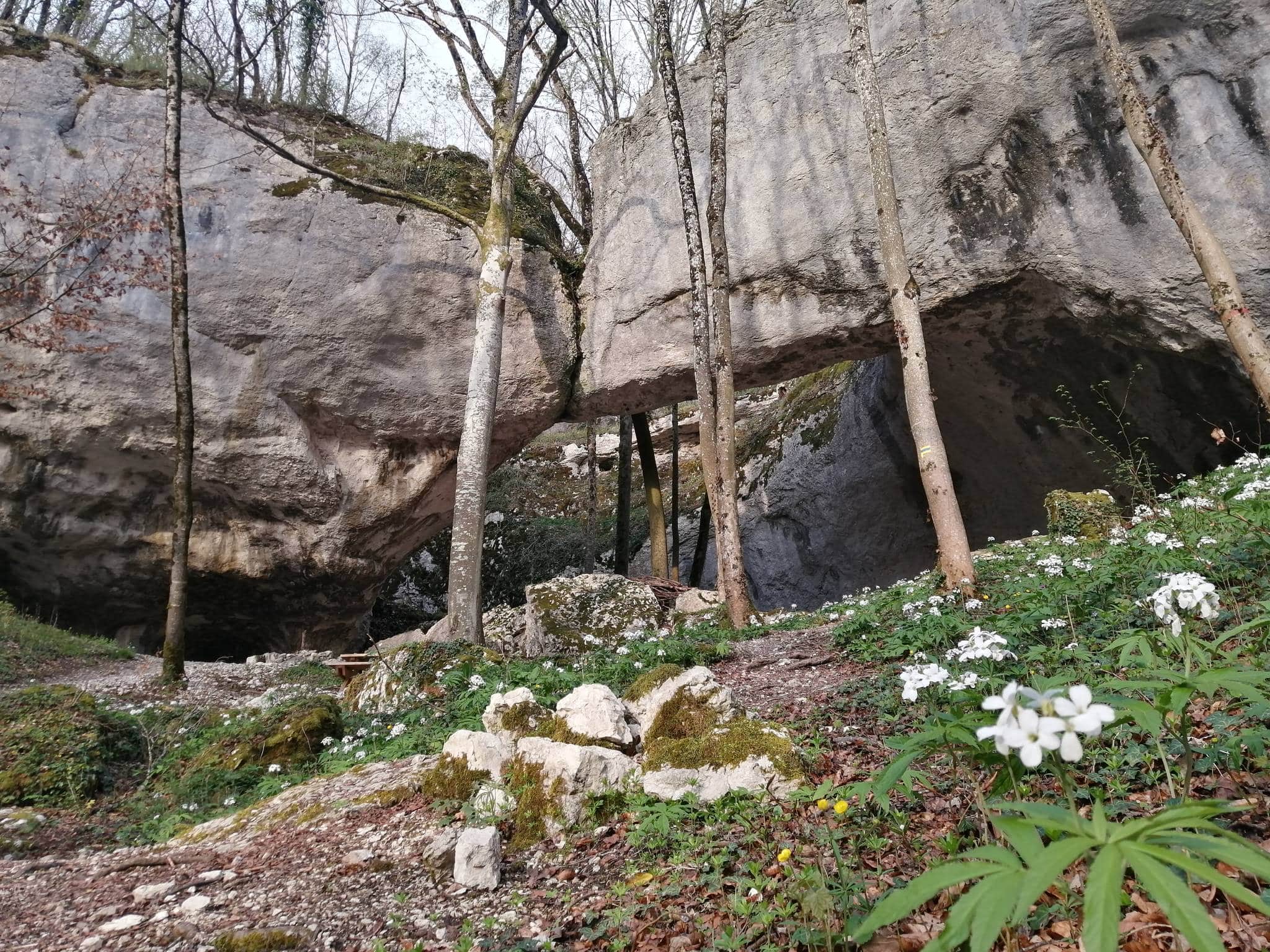 La Grotte du Bisontin