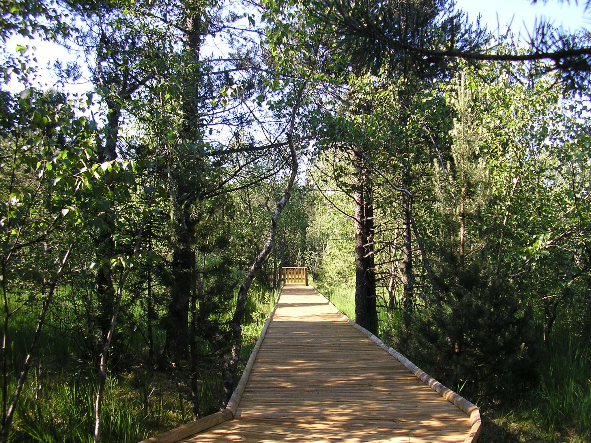 Ponton des Creugnots (Etang du Moulin) Bonnétage