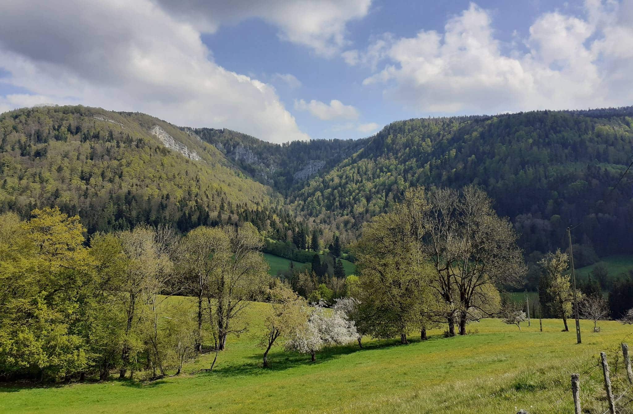 Vue sur un paysage de verdure du village de Battenans-Varin