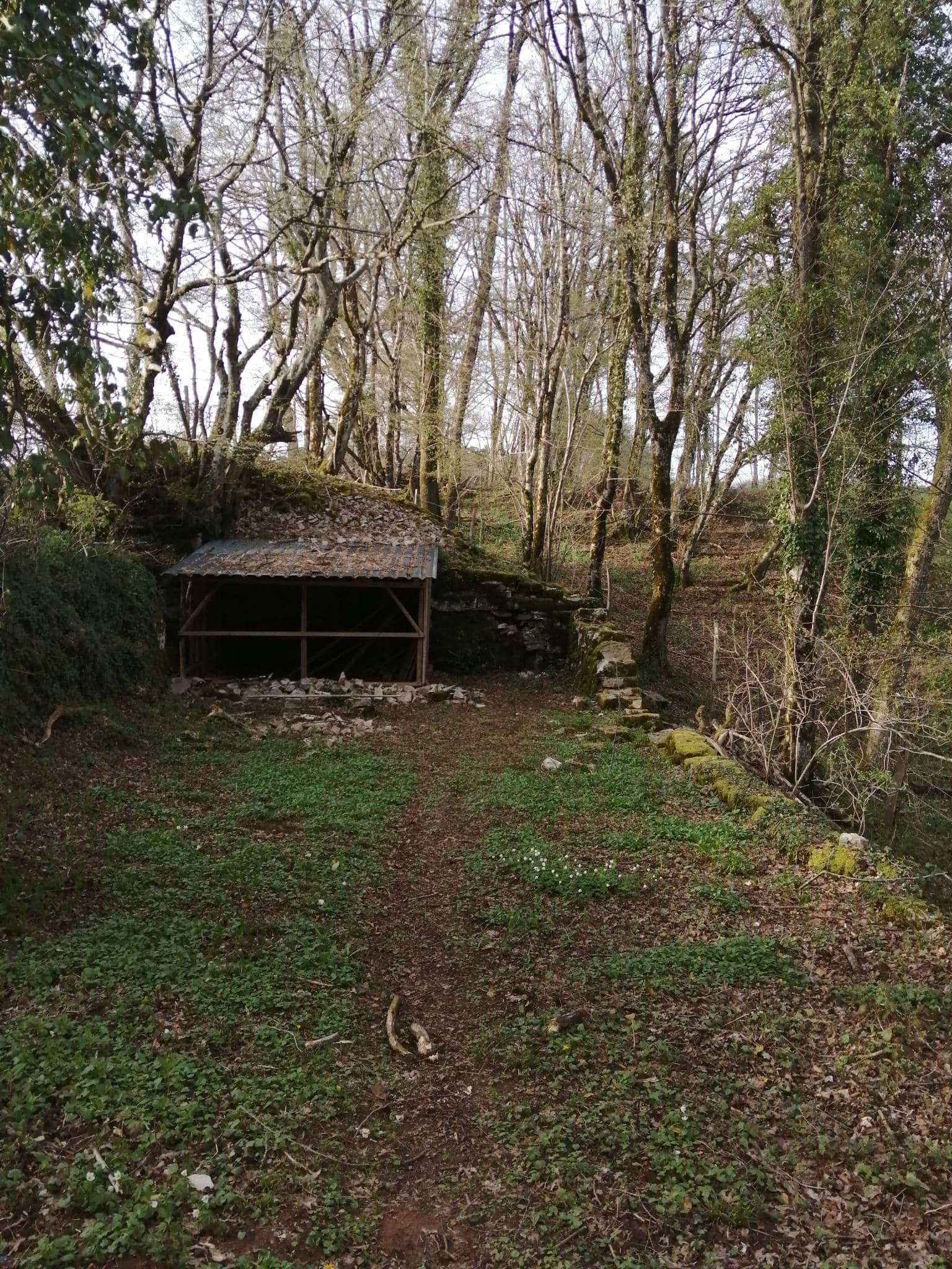 Cabane de la 