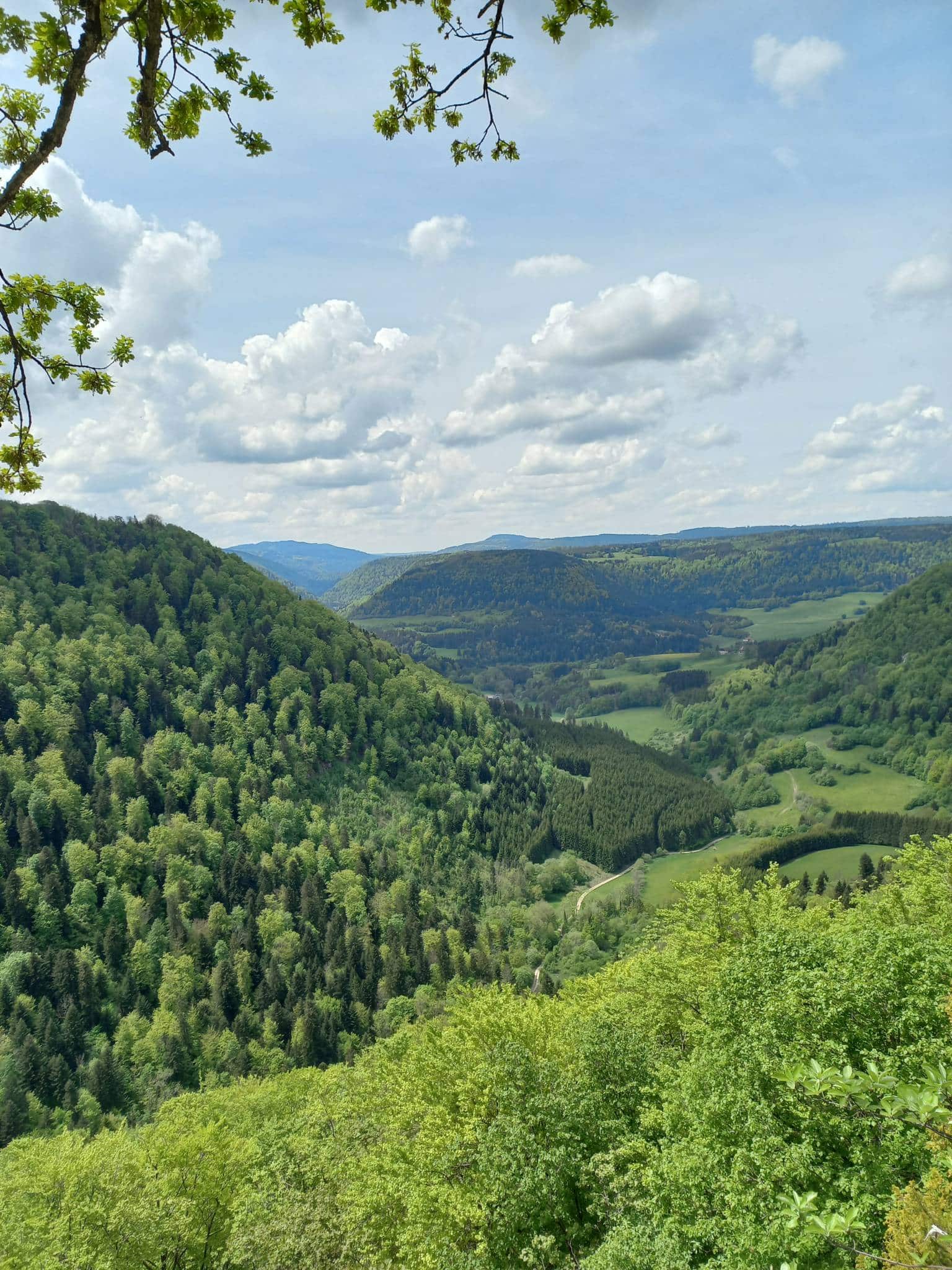 Point de vue de la Roche Ribeau