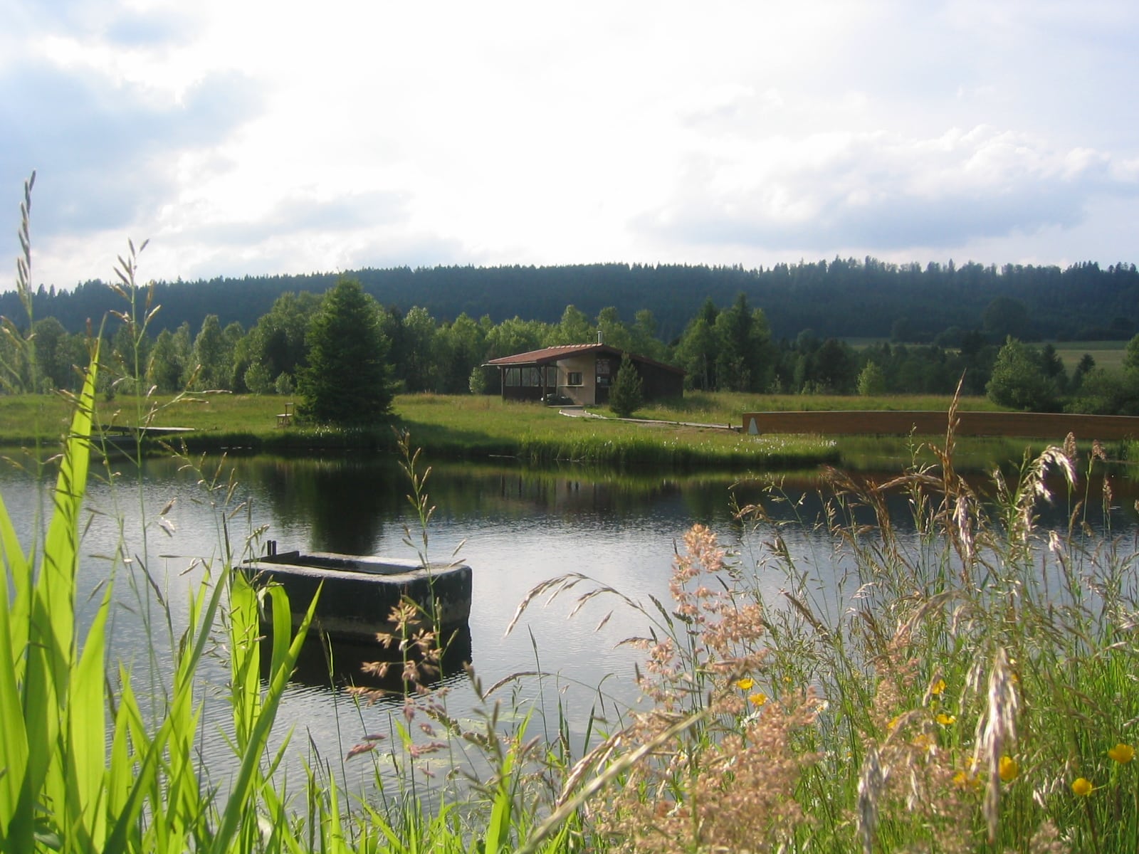 Etang de Noël-Cerneux