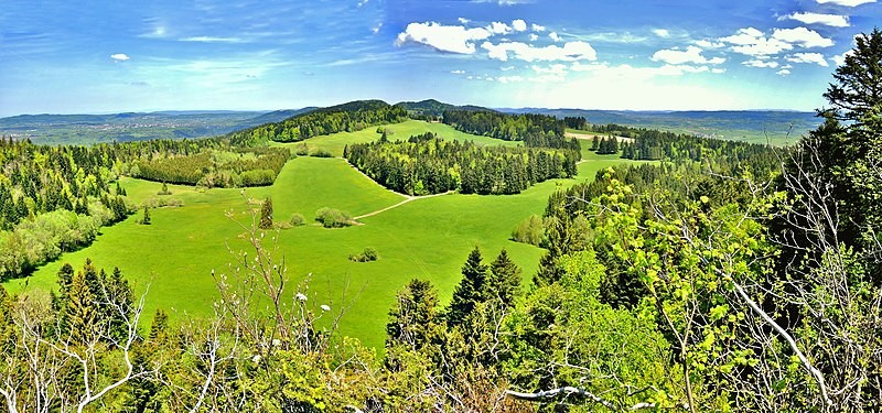 Vue panoramique paysages verts