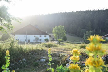 Ferme des Louisots