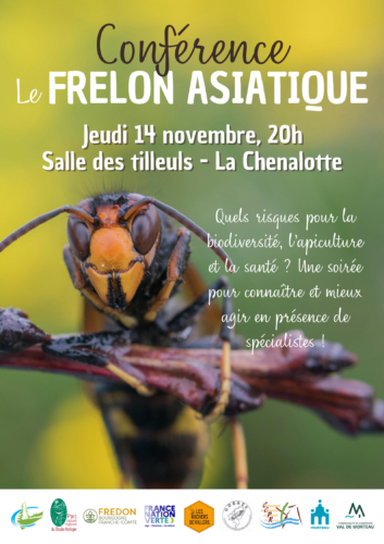 Conférence - frelon asiatique